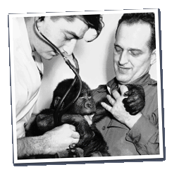 Les Fisher and baby gorilla